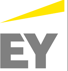 EY Hiring Analyst