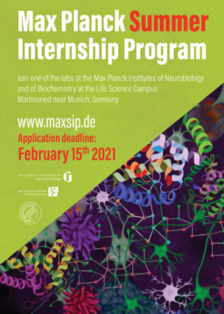 Max Planck Summer Internship Program 2021