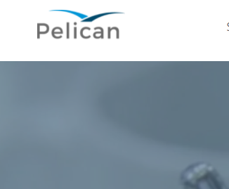 Pelican Careers Hiring Trainee Software Engineer