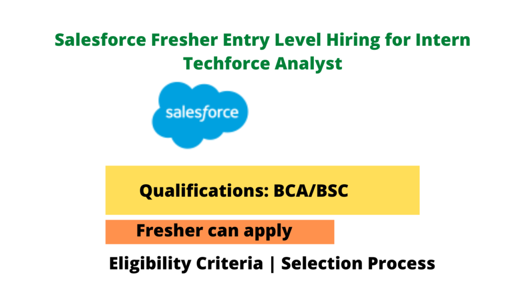 salesforce-fresher-entry-level-hiring-for-intern-techforce-analyst