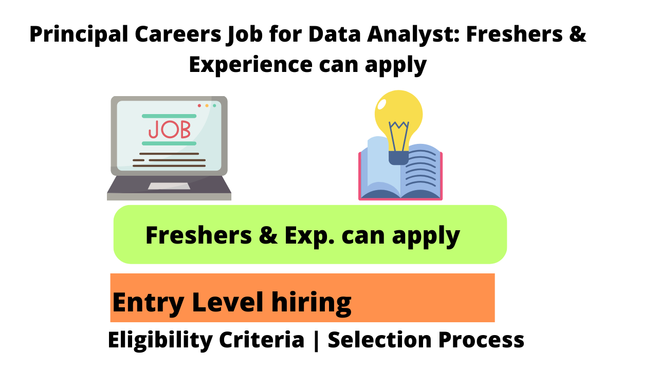 Principal Careers Job for Data Analyst