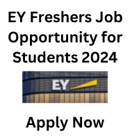 EY Freshers Job 2024